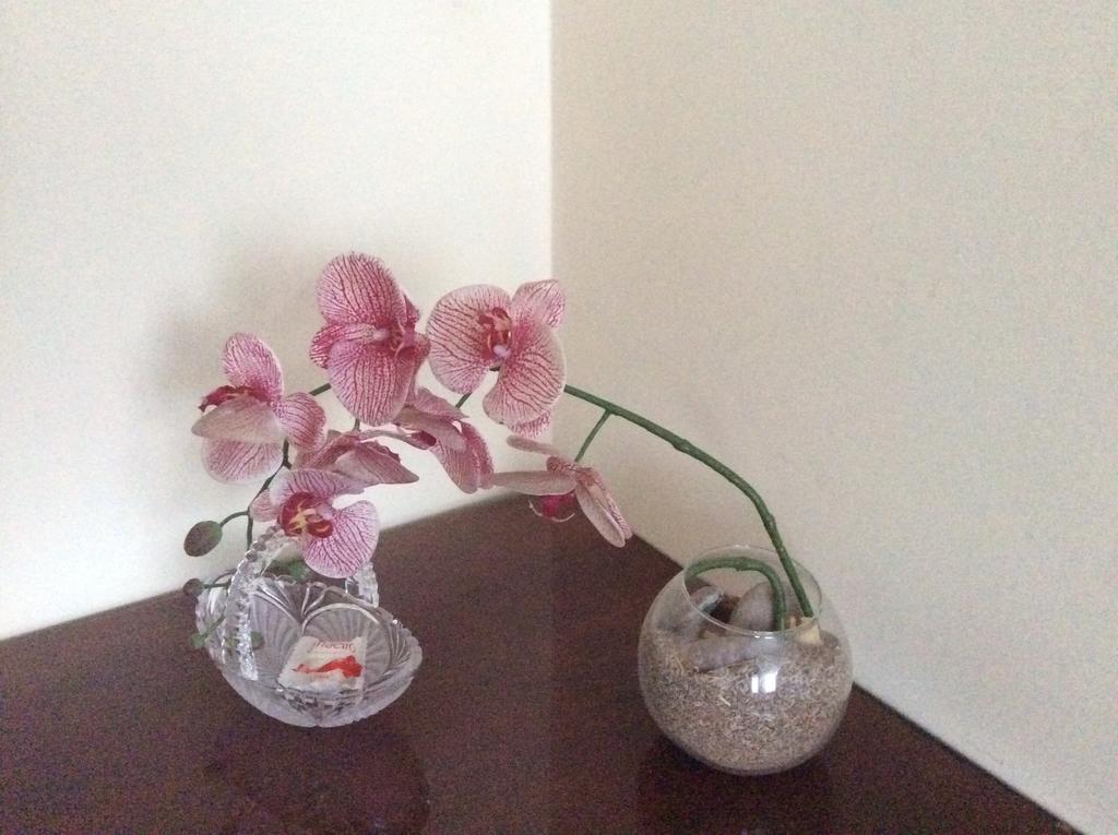 Kotedzai Milikoniu G. Appartement Kaunas Buitenkant foto